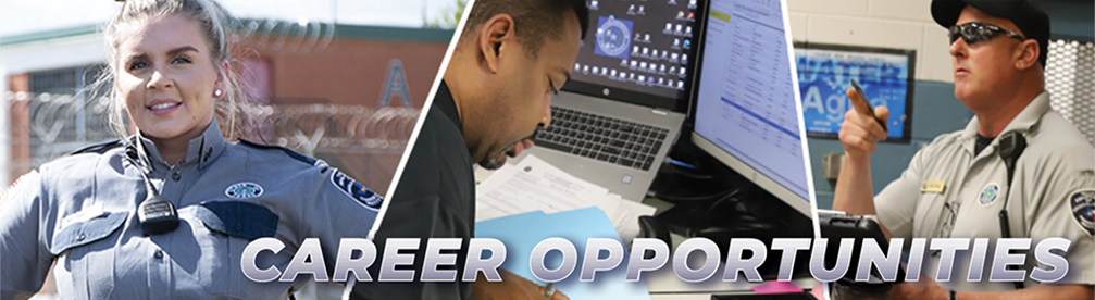 career opportunities