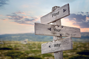  wooden sign with three boards with the words 'find', 'your', 'way'