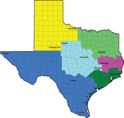 Graphic of state of Texas.